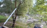 Фотография объекта