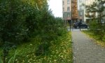 Фотография объекта