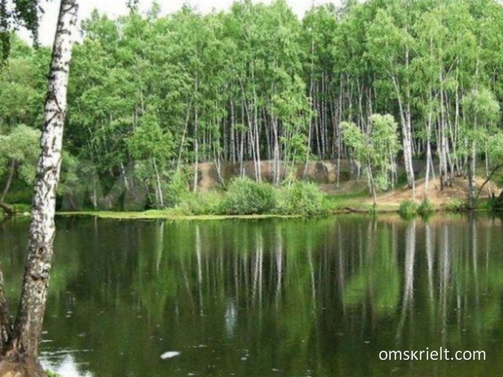 Березка александров. Озеро Березово Кемерово фото.