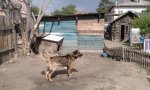 Фотография объекта