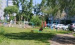 Фотография объекта