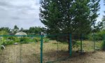 Фотография объекта