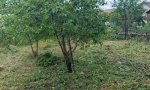Фотография объекта
