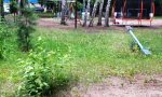 Фотография объекта