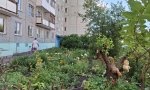 Фотография объекта